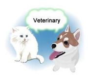 Ветеринарная бесплатная консультация 067-730-57-37